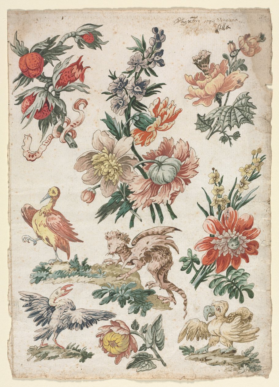 Wzory kwiatowe z ptakami i gryfem, 1784. autorstwa Giacomo Cavenezia