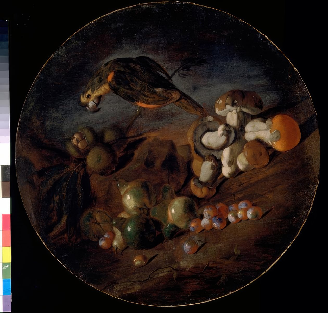 Martwa natura z grzybami, owocami i papugą autorstwa Giacomo Fardella de Calvello