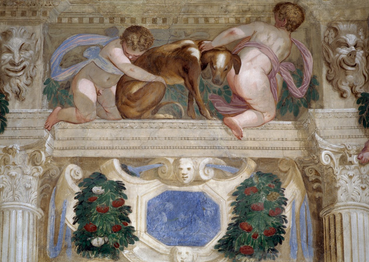 Putti z chartem, girlandami owocowymi i maszkaronami autorstwa Giambattista Zelotti