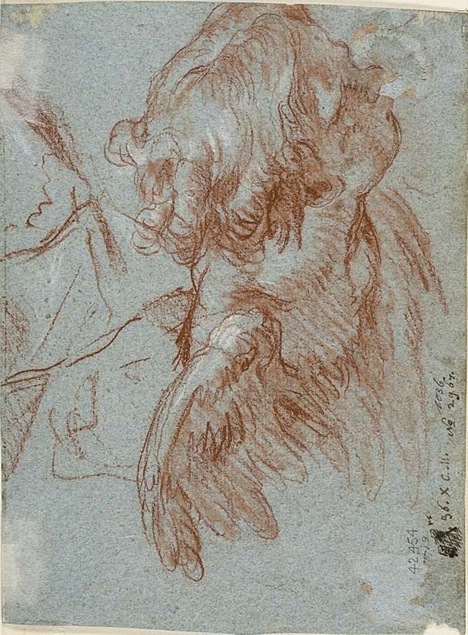 Studium szczegółów: Głowa cherubinka autorstwa Giambattista Tiepolo