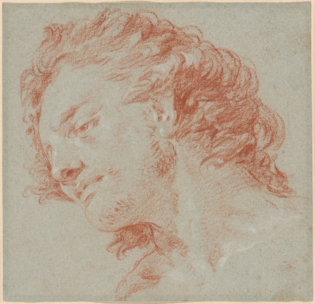 Głowa młodego mężczyzny w lewym profilu (recto); Studia postaci alegorycznych (verso) autorstwa Giambattista Tiepolo