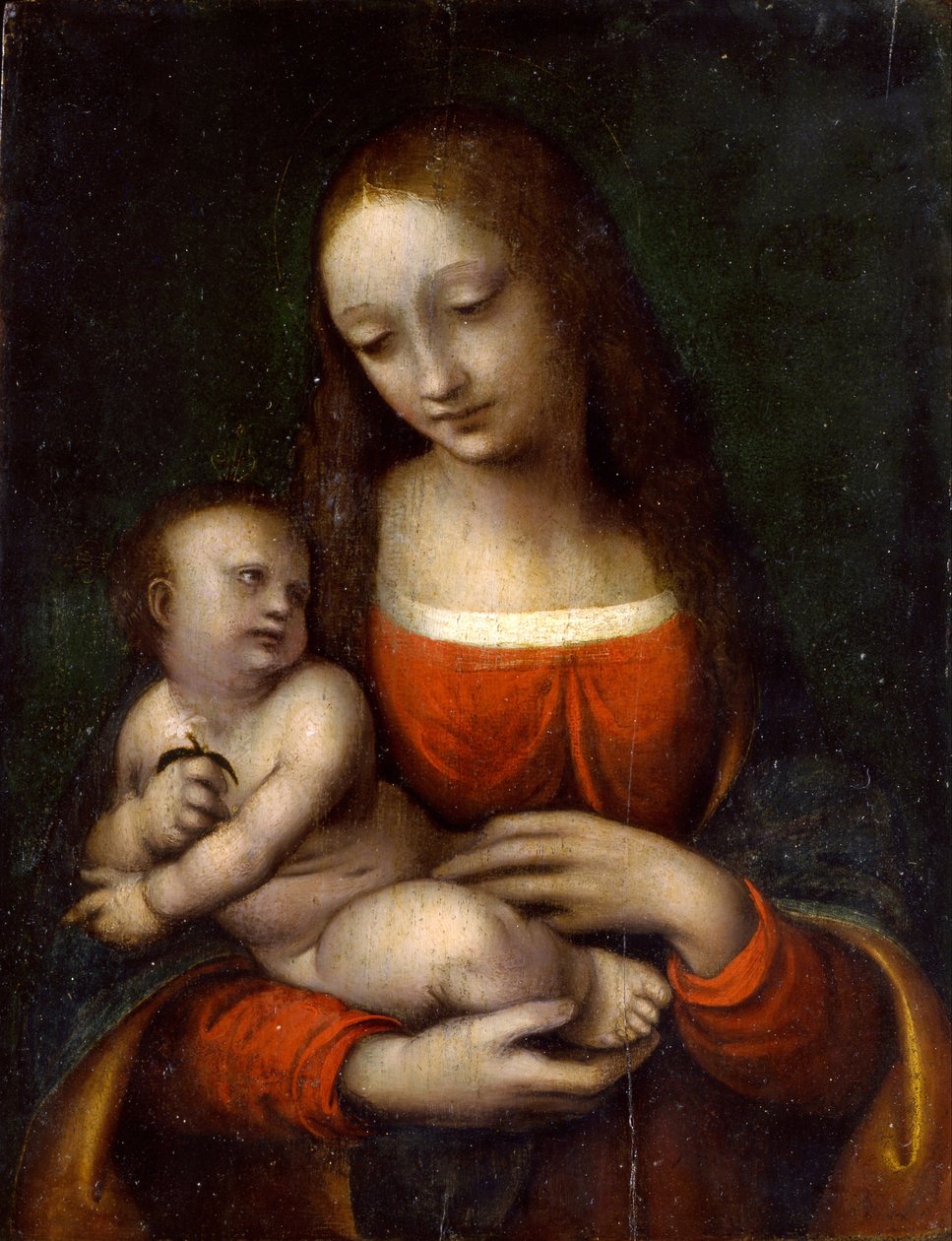 Dziewica z Dzieciątkiem, 1510-1515 autorstwa Giampietrino