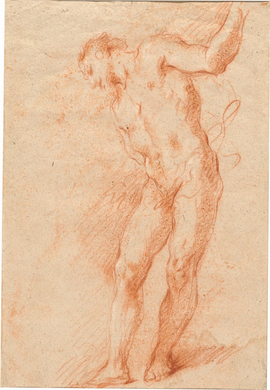 Mężczyzna nago autorstwa Gian Antonio Guardi