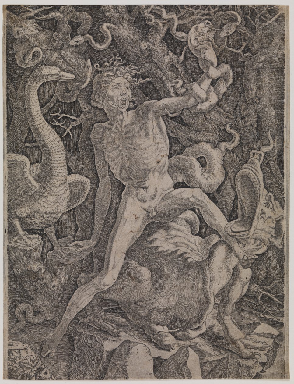 Alegoria gniewu autorstwa Gian Jacopo Caraglio