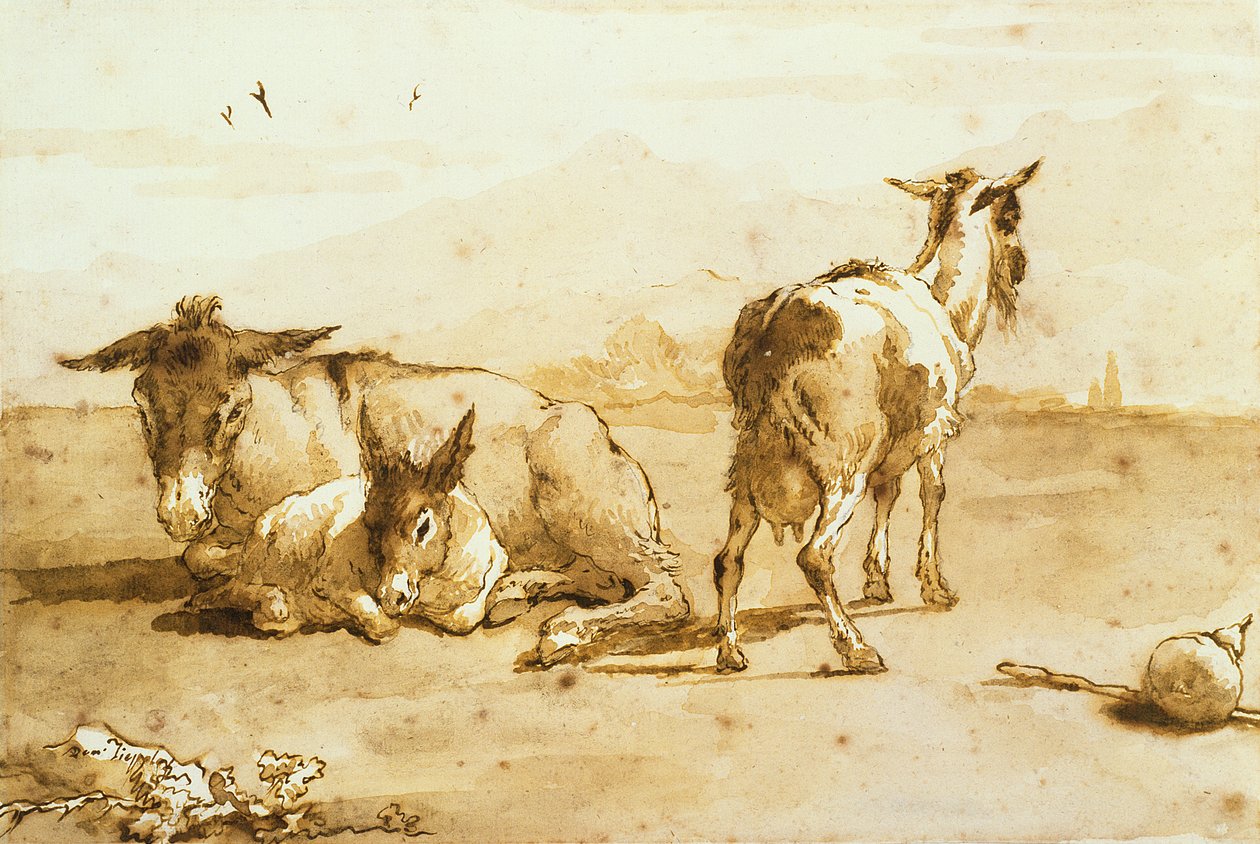 PD.32-1959 Dwa osły i koza w krajobrazie (długopis i brązowy tusz z wash na papierze) autorstwa Giovanni Domenico Tiepolo