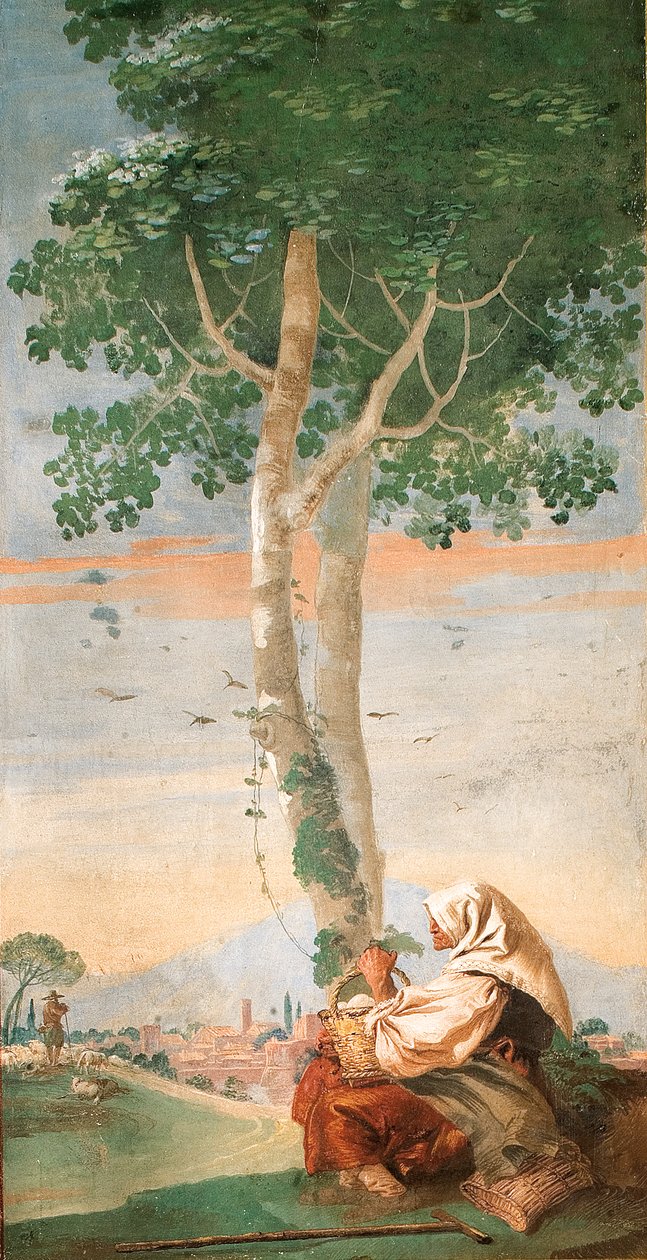 Starsza wieśniaczka siedząca pod drzewem z koszem jajek, z Sali Scen Wiejskich, 1757 autorstwa Giovanni Domenico Tiepolo