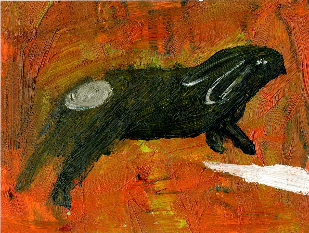 Królik, 2005, (olej na papierze) autorstwa Gigi Sudbury
