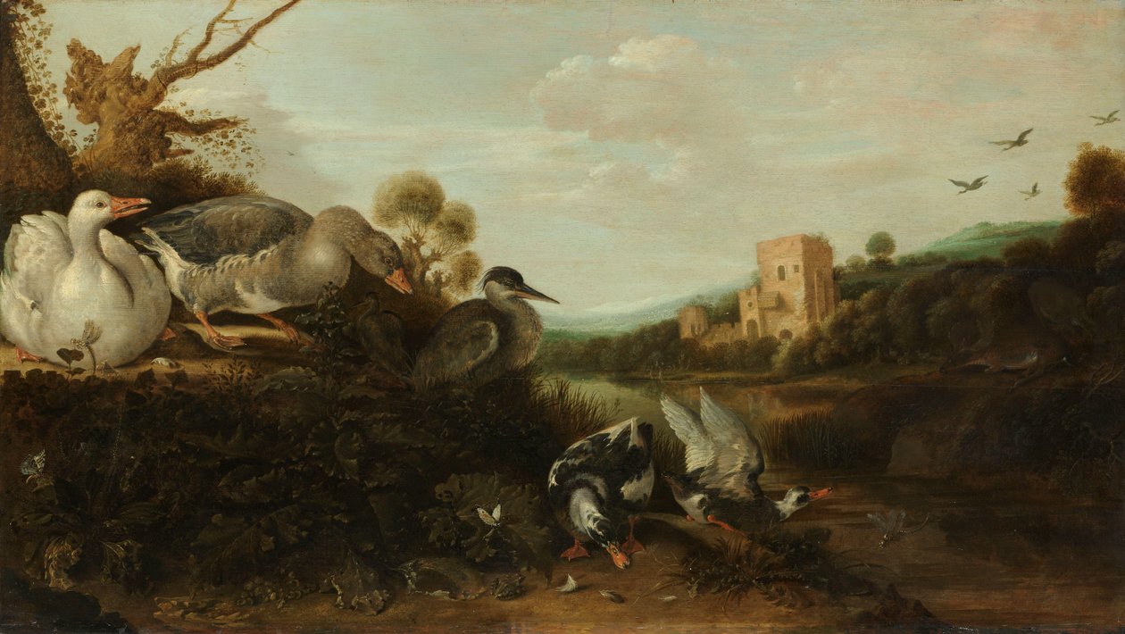 Ptactwo wodne autorstwa Gijsbert Gillisz de Hondecoeter