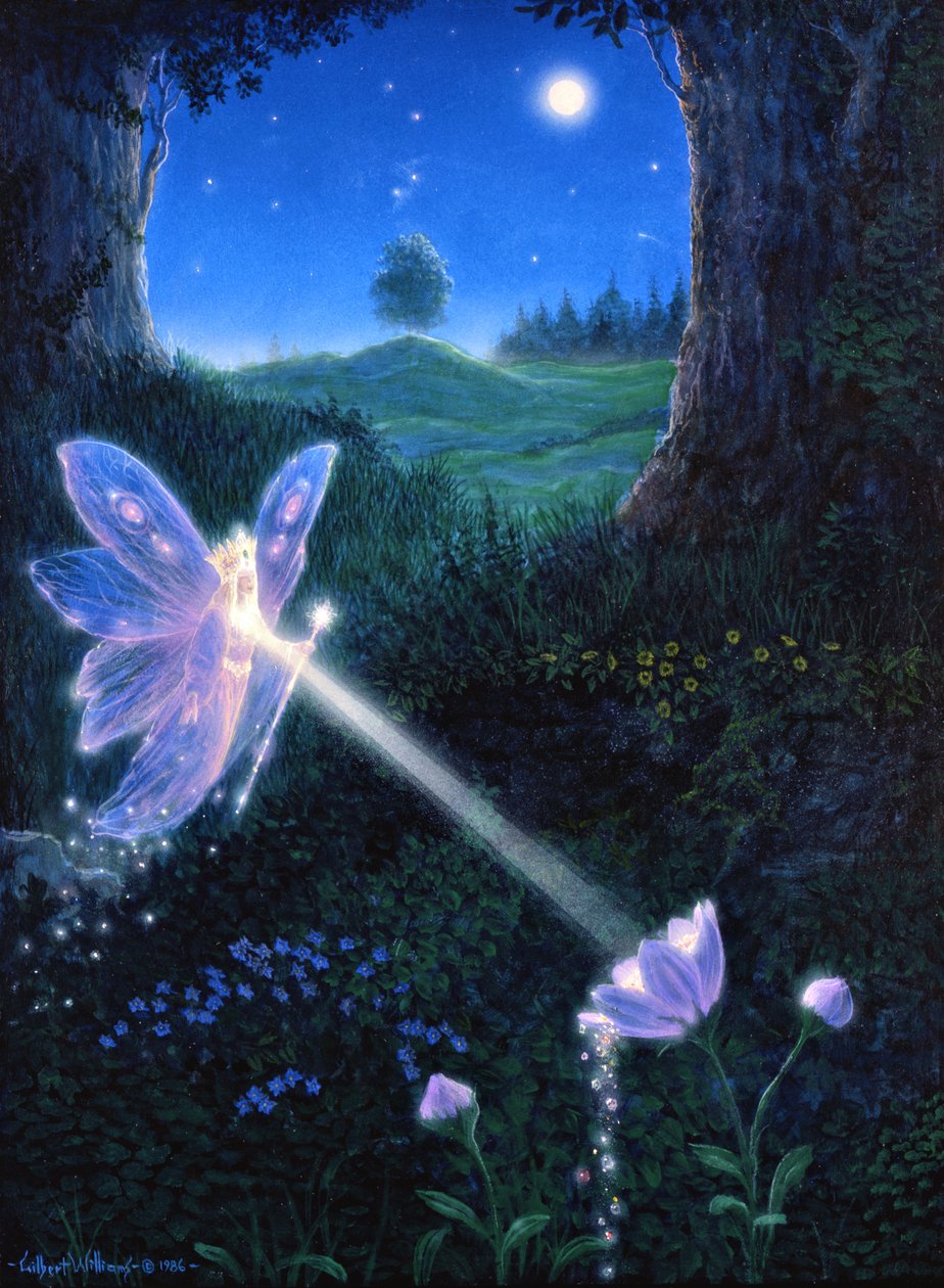 Kwiat wróżek autorstwa Gilbert Williams
