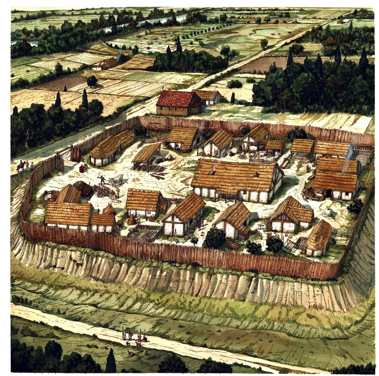 Średniowiecze: rekonstrukcja motte (ilustracja) autorstwa Giorgio Albertini