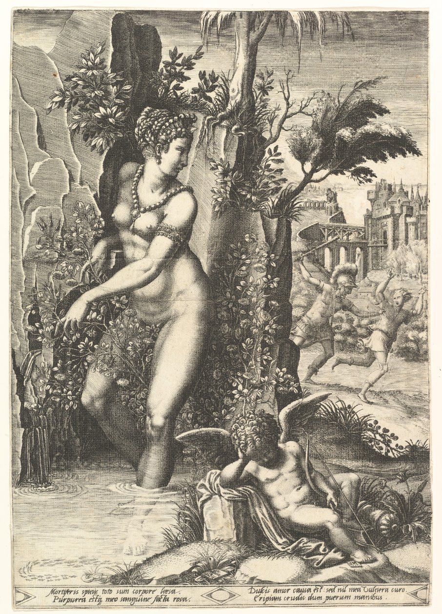 Wenus nakłuta cierniami na krzaku róży, w tle Mars goniący Adonisa, w ..., 1556 r. autorstwa Giorgio Ghisi