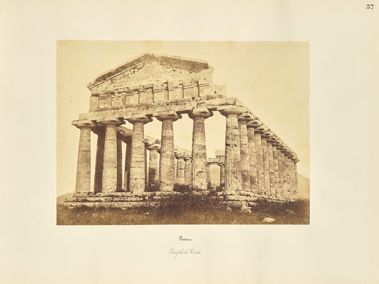 Paestum. Świątynia Cerery autorstwa Giorgio Sommer
