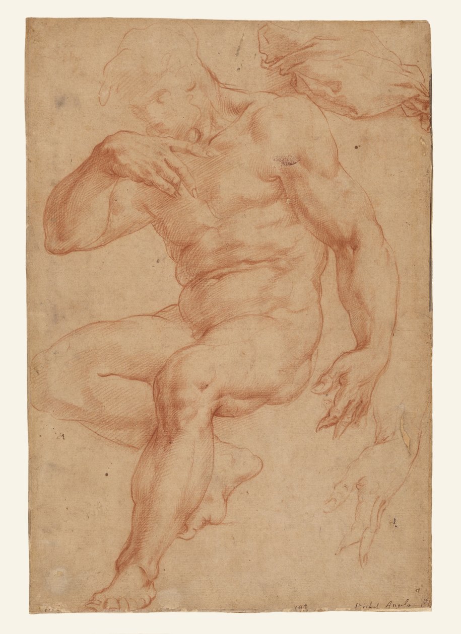 Studien eines männlichen Aktes, eines Gewandes und einer Hand autorstwa Giorgio Vasari