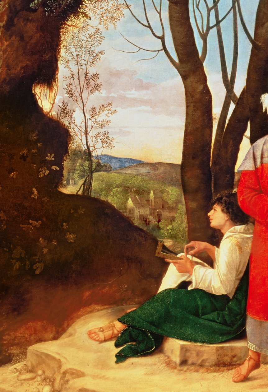 Trzej filozofowie (detal 54291) autorstwa Giorgione da Castelfranco