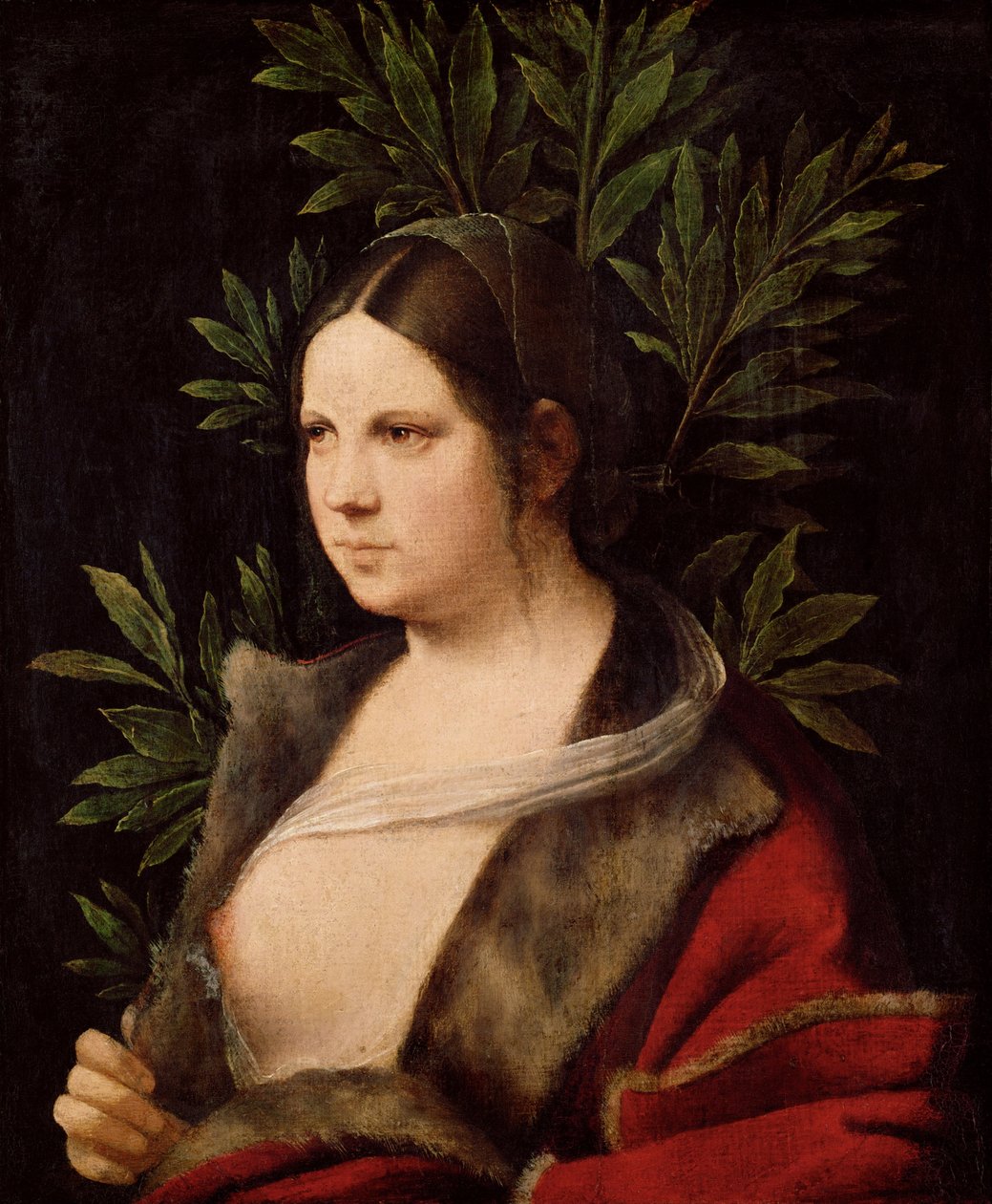 Młoda Kobieta Laura, 1506 autorstwa Giorgione da Castelfranco