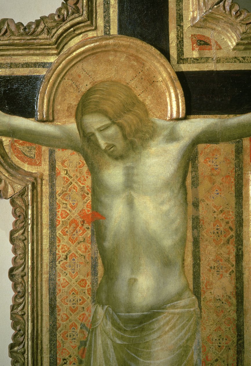 Krucyfiks, fragment Chrystusa, 1317 tempera na desce autorstwa Giotto di Bondone