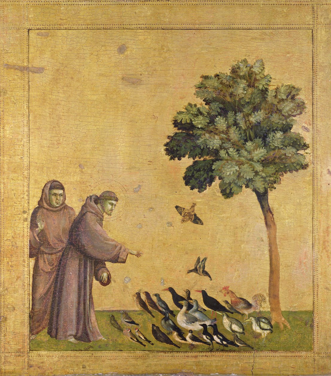 Franciszek z Asyżu głoszący kazanie ptakom (olej na płótnie) autorstwa Giotto (c.1266 1337)