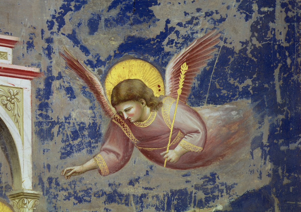 Anioł z przedstawienia Chrystusa w świątyni, ok. 1305 (fresk) (detal z 65195) autorstwa Giotto (c.1266 1337)