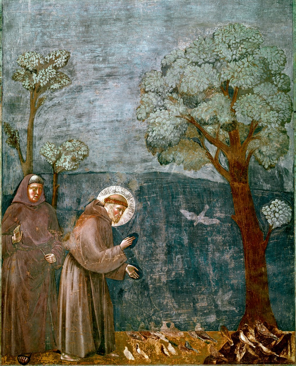 Epizod z życia św. Franciszka z Asyżu (San Francesco): „”Orzekanie ptaków””” Fresk Giotto (Ambrogio di Bondone autorstwa Giotto (c.1266 1337)