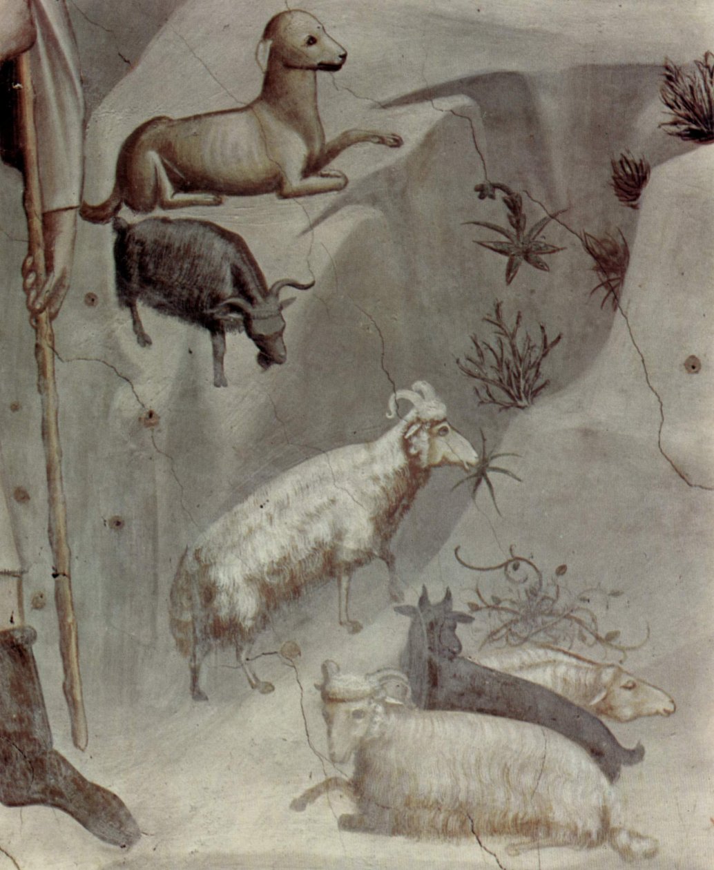 Sceny z życia Joachima: 5. Sen Joachima

 (szczegół) autorstwa Giotto