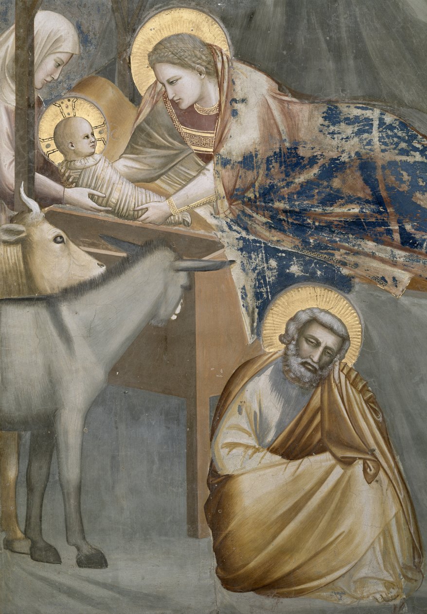 Narodzenie, detal Dziewicy z Dzieciątkiem, osiołek i Józef, 1303-05 (po renowacji) autorstwa Giotto di Bondone