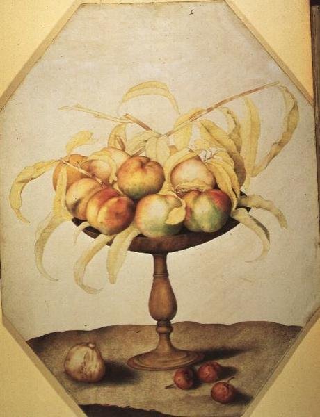 Misa z brzoskwiniami (tempera na welonie) autorstwa Giovanna Garzoni