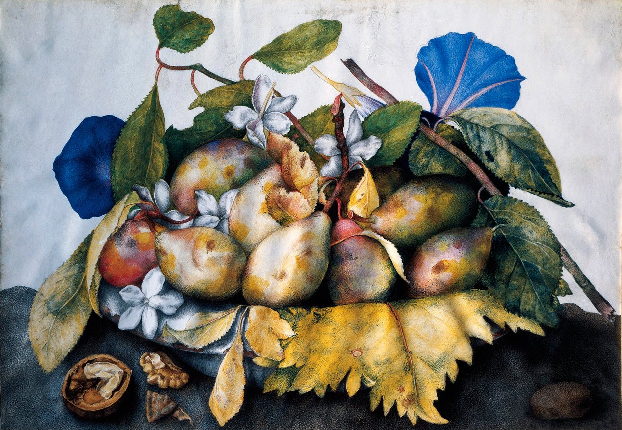 Talerz śliwek, jaśminu i orzechów Obraz na pergaminie autorstwa Giovanna Garzoni (1600-1670) autorstwa Giovanna Garzoni