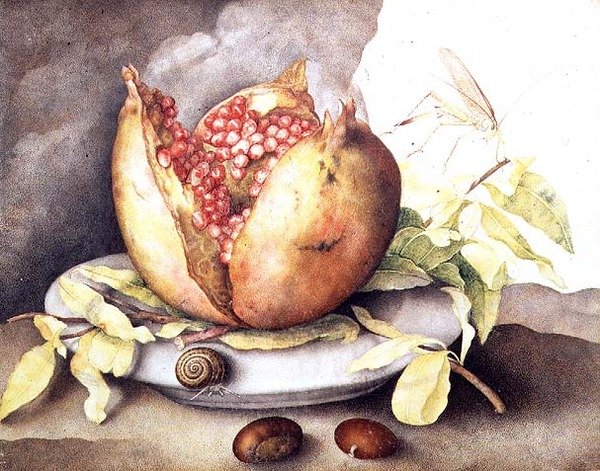 Granat z Kasztanami autorstwa Giovanna Garzoni