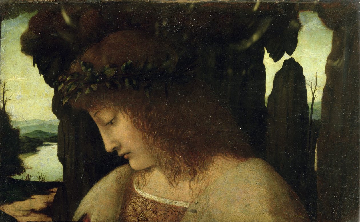 Narcyz przy fontannie autorstwa Giovanni Antonio Boltraffio