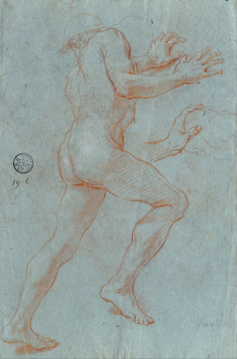 Studium aktu męskiego autorstwa Giovanni Antonio Grecolini