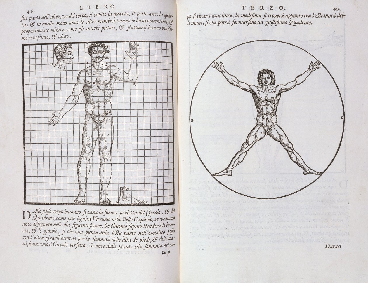 Idealne proporcje oparte na ludzkim ciele, z „Della Architettura”, wydanej w 1590 autorstwa Giovanni Antonio Rusconi