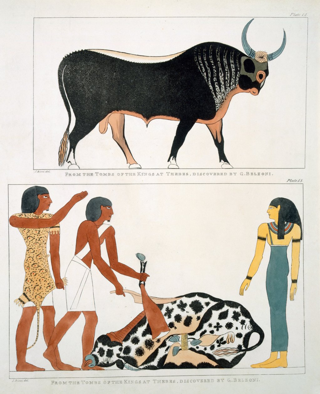 Malowidło ścienne z Grobowców Królów Teb, odkryte przez G. Belzoniego, płyta 13 z "Plates Illustrative of the Research in Egypt and Nubia", 1820-22 autorstwa Giovanni Battista Belzoni