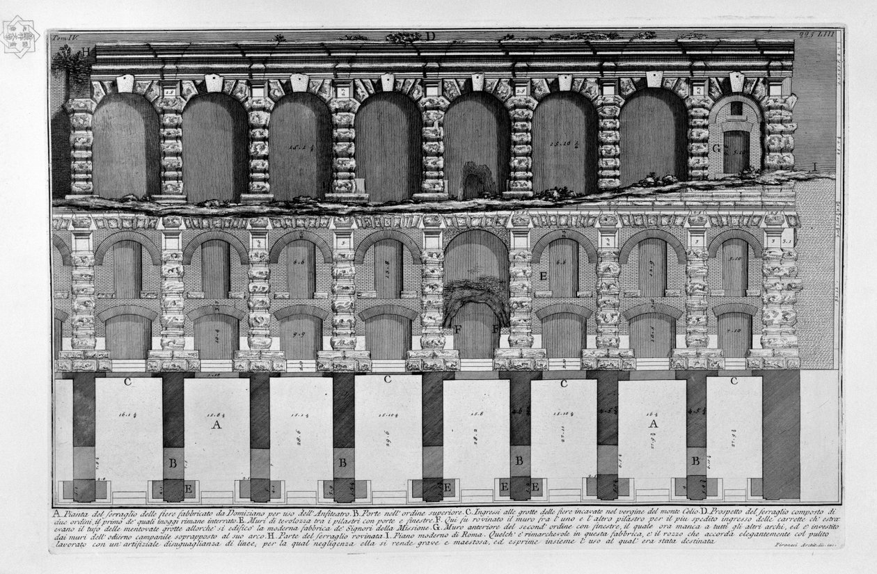 Pokaz menażerii jarmarkowej wybudowanej przez Domicjana na użytek Amfiteatru autorstwa Giovanni Battista Piranesi