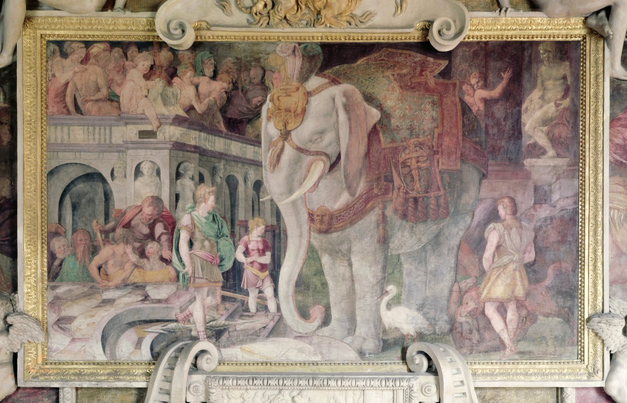 Słoń królewski, z galerii Franciszka I (1494-1547) autorstwa Giovanni Battista Rosso Fiorentino