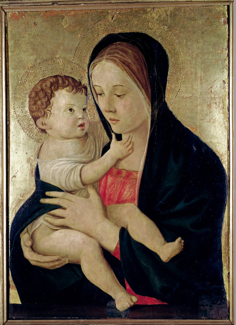 Madonna z Dzieciątkiem, c.1475 (tempera na panelu) autorstwa Giovanni Bellini