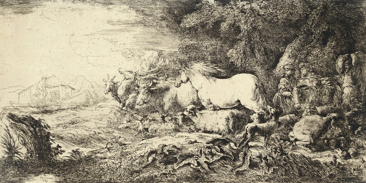 Arka Noego Portugues: Arca de Noe autorstwa Giovanni Benedetto Castiglione