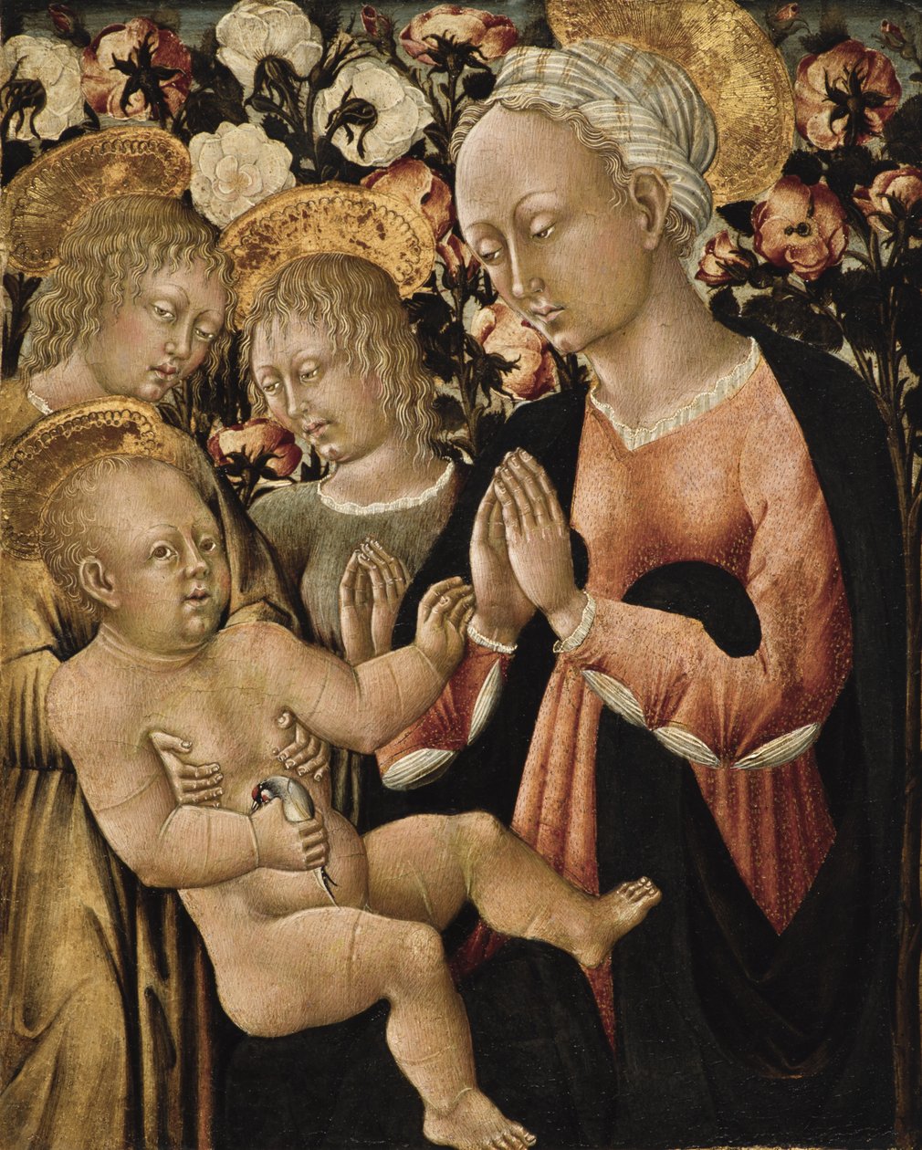 Madonna z Dzieciątkiem i aniołami, ok. 1475 (tempera na płycie) autorstwa Giovanni di Paolo