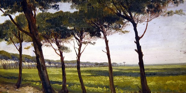 Szpaler starych sosen (olej na płótnie) autorstwa Giovanni Costa