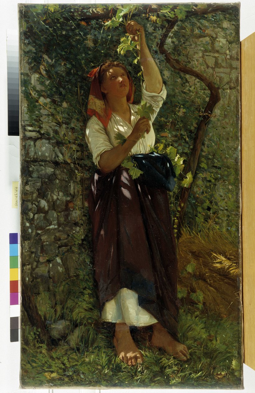 Obraz „Przycinanie winorośli” – Giovanni Costa (1833-1902) Obowiązkowa wzmianka: Collection Fondation Regards de Provence, Marseille autorstwa Giovanni Costa