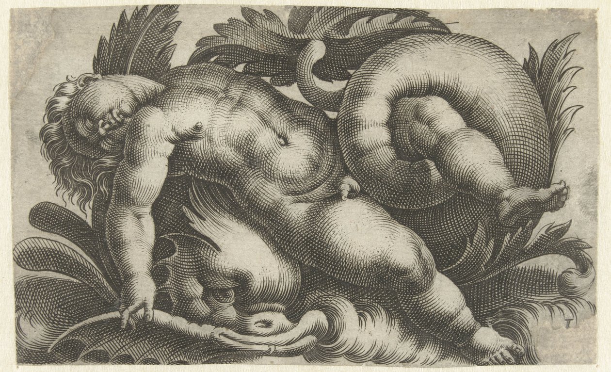 Śpiące putto na delfinie Putti o morskich stworzeniach (tytuł serii) autorstwa Giovanni Andrea Maglioli