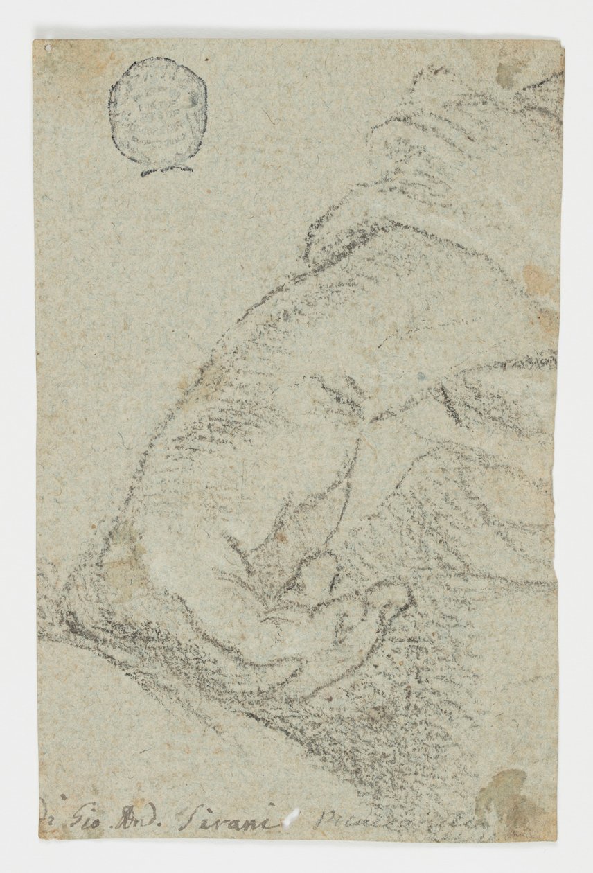 Rysunek, Studium: Lewa ręka w pozycji pochylonej, ok. 1650 r. autorstwa Giovanni Andrea Sirani