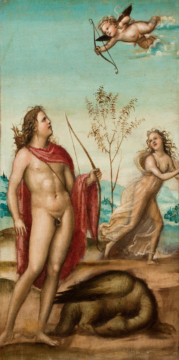Apollo i Daphne, po 1500 (olej na płótnie) autorstwa Giovanni Antonio Bazzi Sodoma