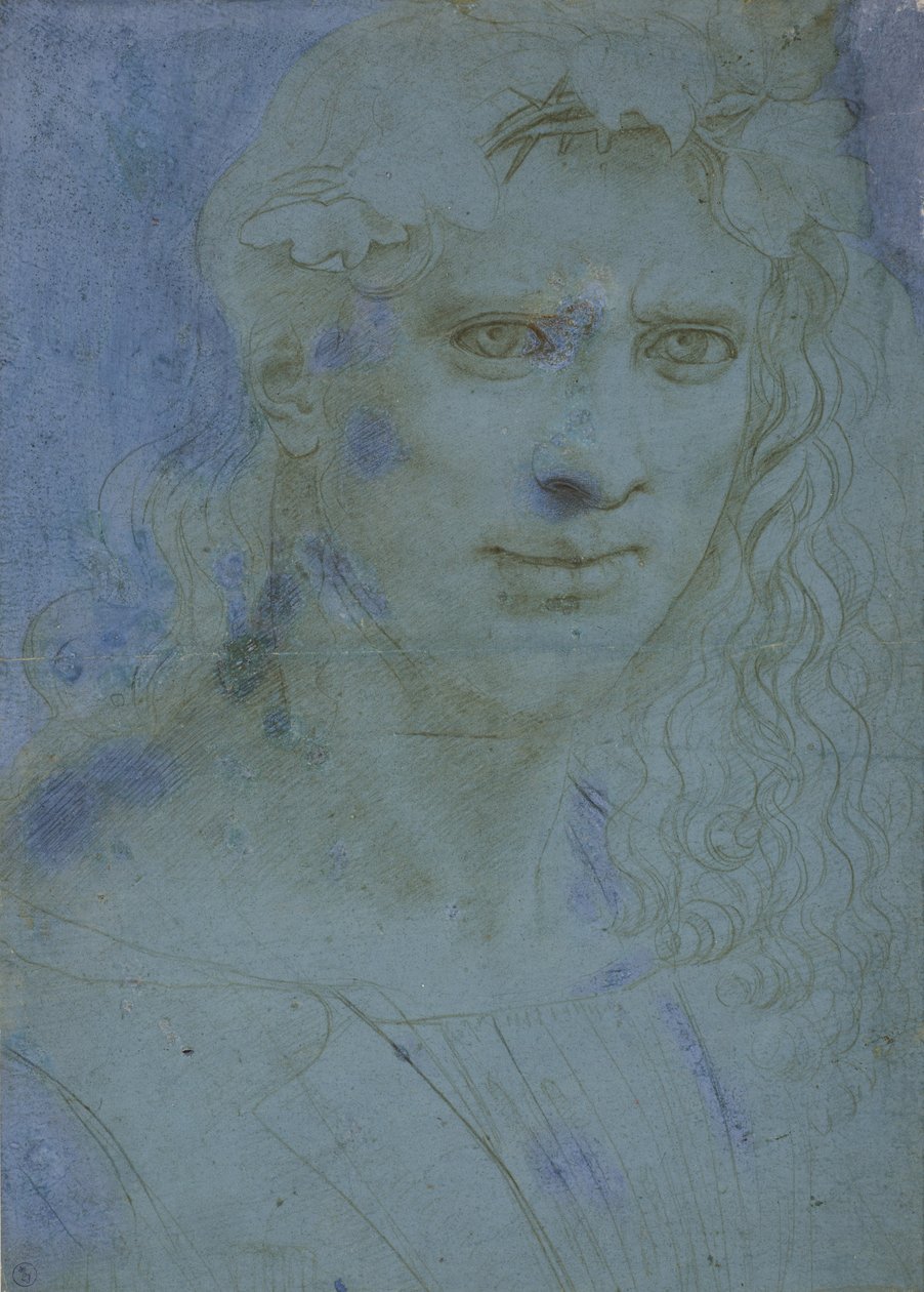Popiersie młodych zwieńczone cierniami i pędami winorośli, ok. godz. 1495 (metalowa końcówka na niebieskim przygotowanym papierze) autorstwa Giovanni Antonio Boltraffio