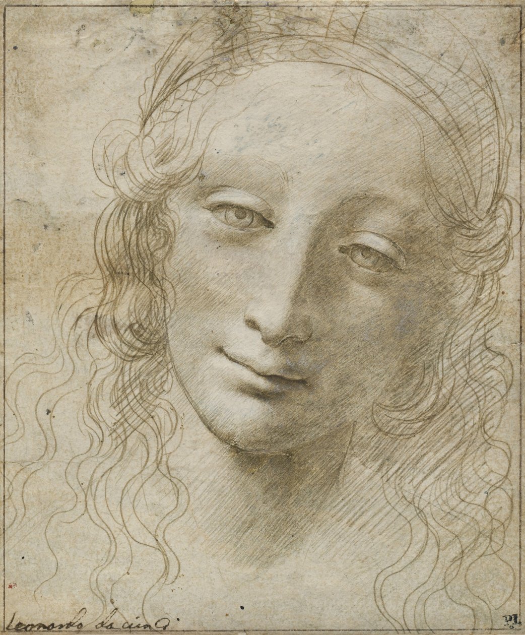 Głowa kobiety autorstwa Giovanni Antonio Boltraffio