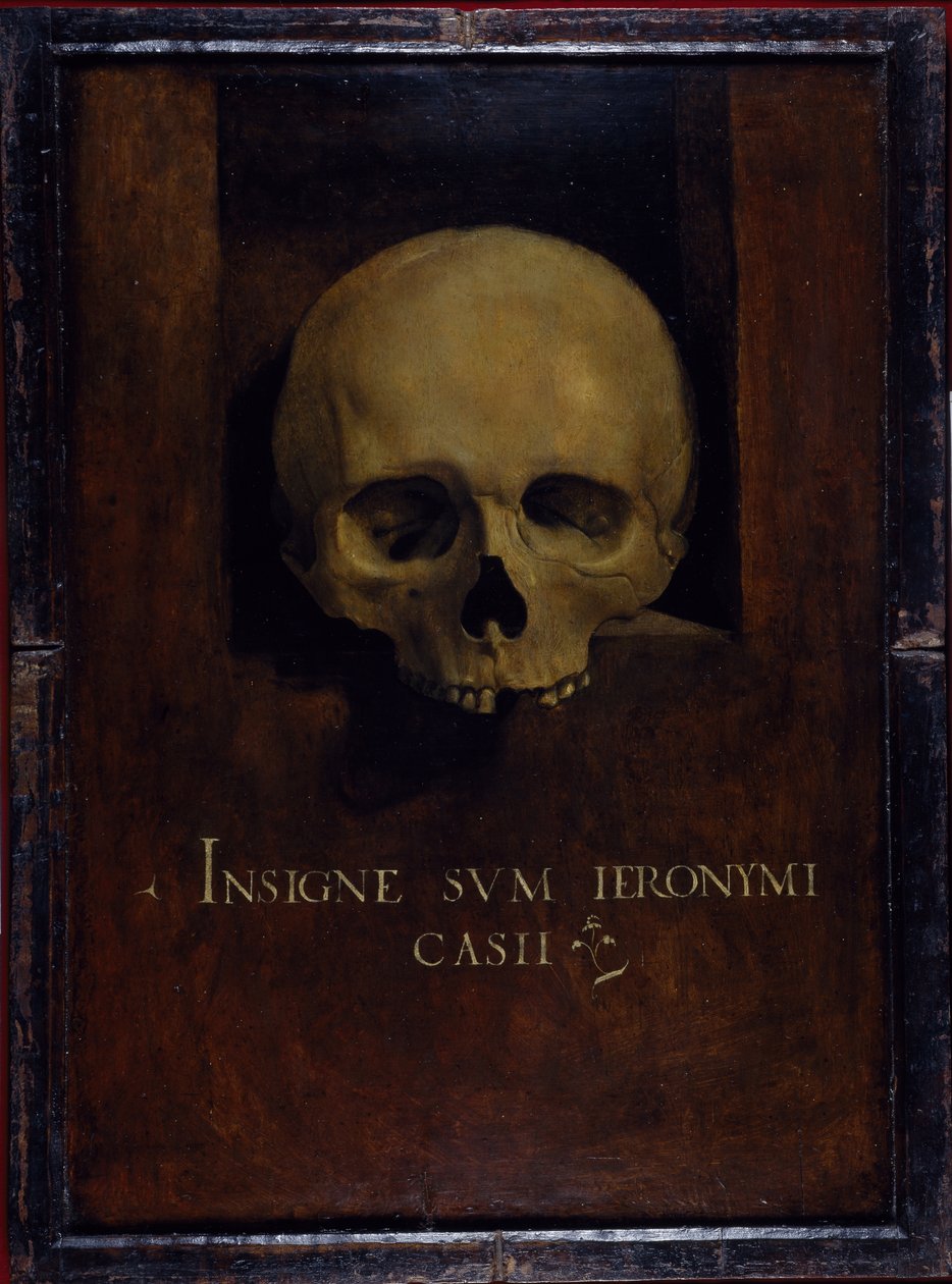 Memento Mori, ok. 1500 (olej na desce) autorstwa Giovanni Antonio Boltraffio