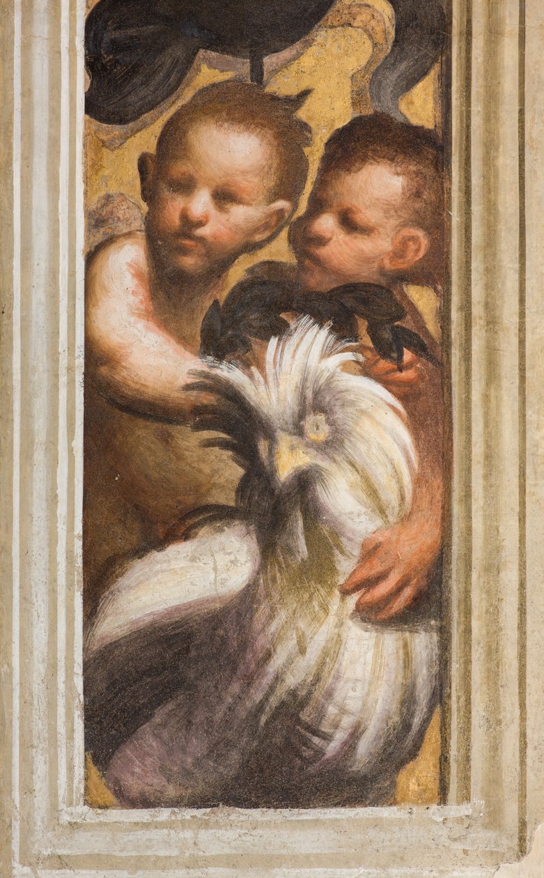 Central Ave, Lesena Górna część nad stolicą Pierwszy i drugi Rozpiętość południowa, IL Pordenone, Puttini, Detal autorstwa Giovanni Antonio Pordenone