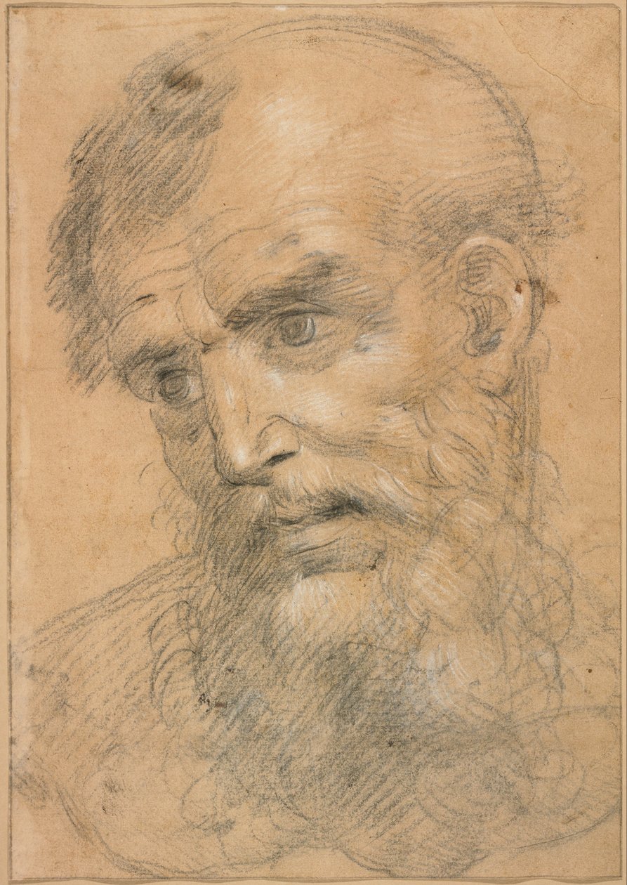 Głowa brodatego mężczyzny (recto); Studium świętej rozmowy (verso) autorstwa Giovanni Antonio Sogliani