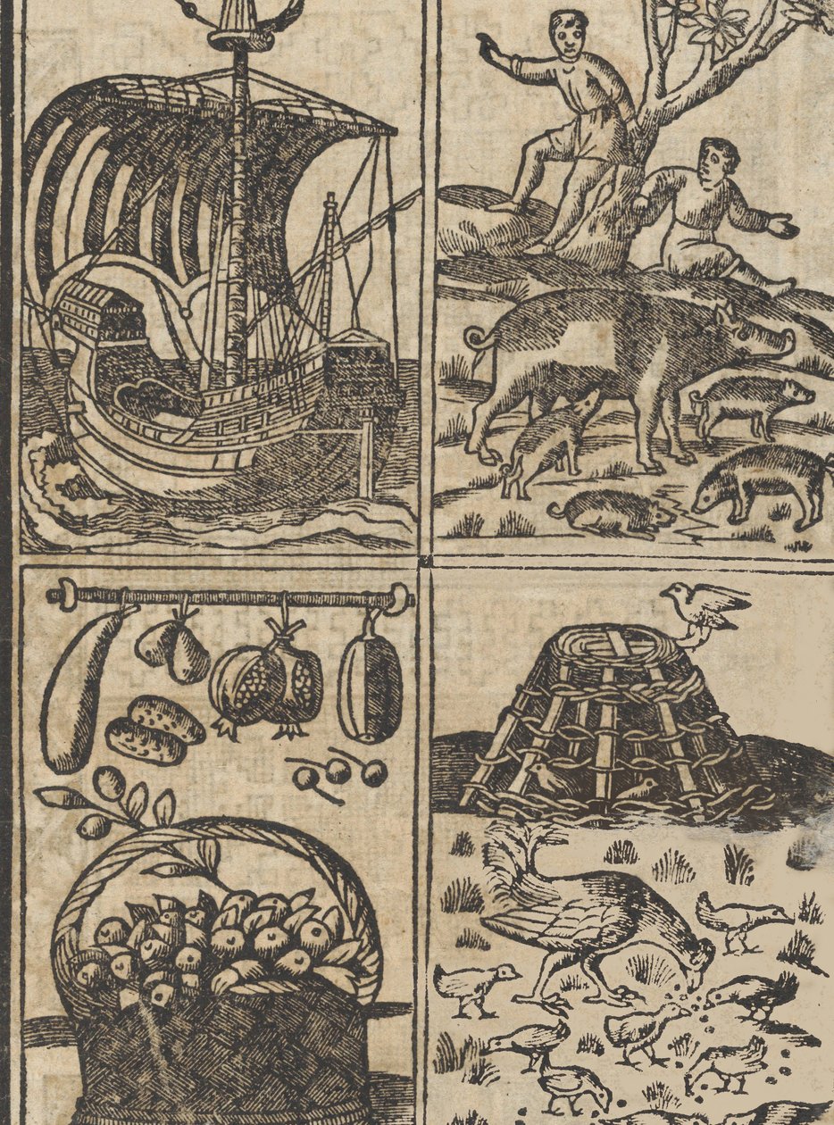 Przykład recammi, strona 9 recto, 1530. autorstwa Giovanni Antonio Tagliente