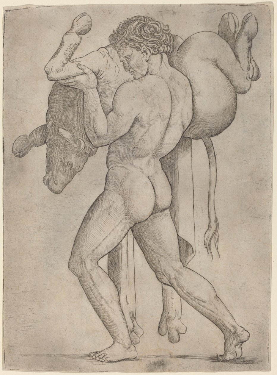 Herkules i byk kreteński autorstwa Giovanni Antonio da Brescia