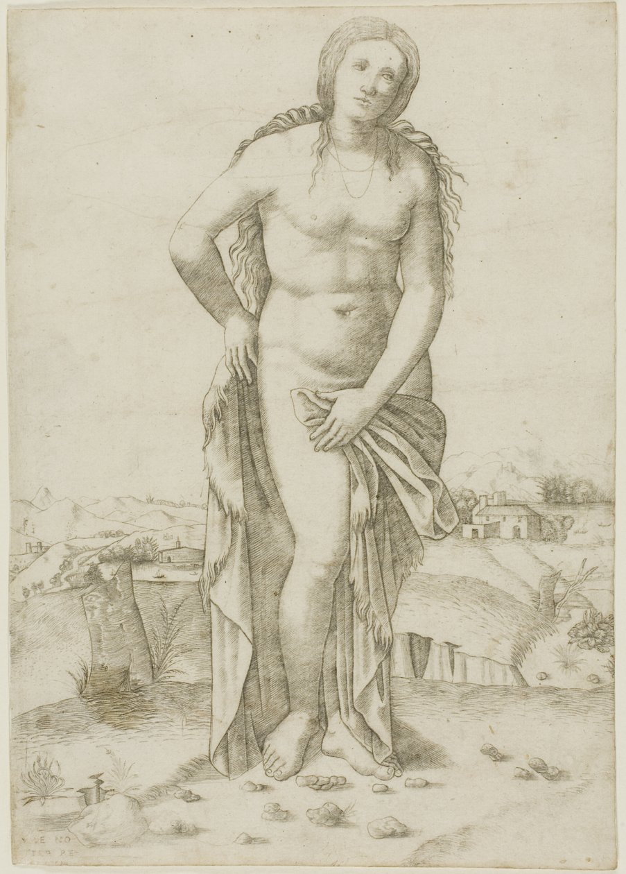 Wenus autorstwa Giovanni Antonio da Brescia